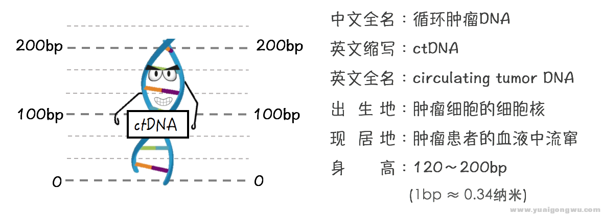 6FA21985-DE46-43A5-850C-12FDA0B3DE01.png