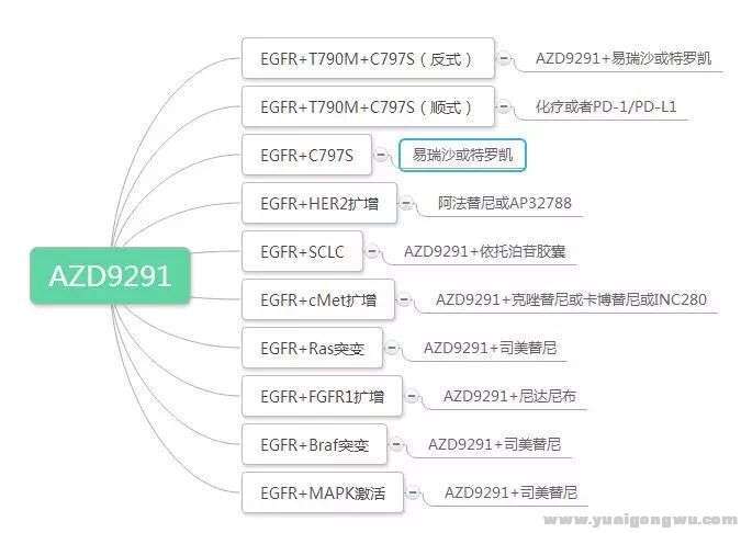 9291耐药后的可能用药情况（出自网友，仅供参考，多种思路而已）