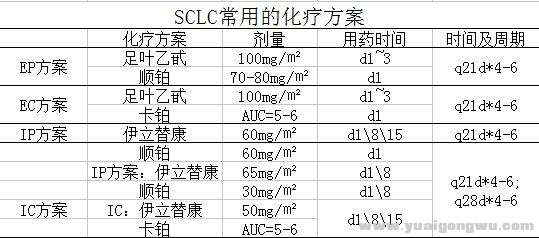 图一：化疗方案