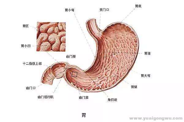 微信图片_20191208095139.jpg