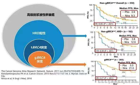 微信图片_20200110172409.jpg