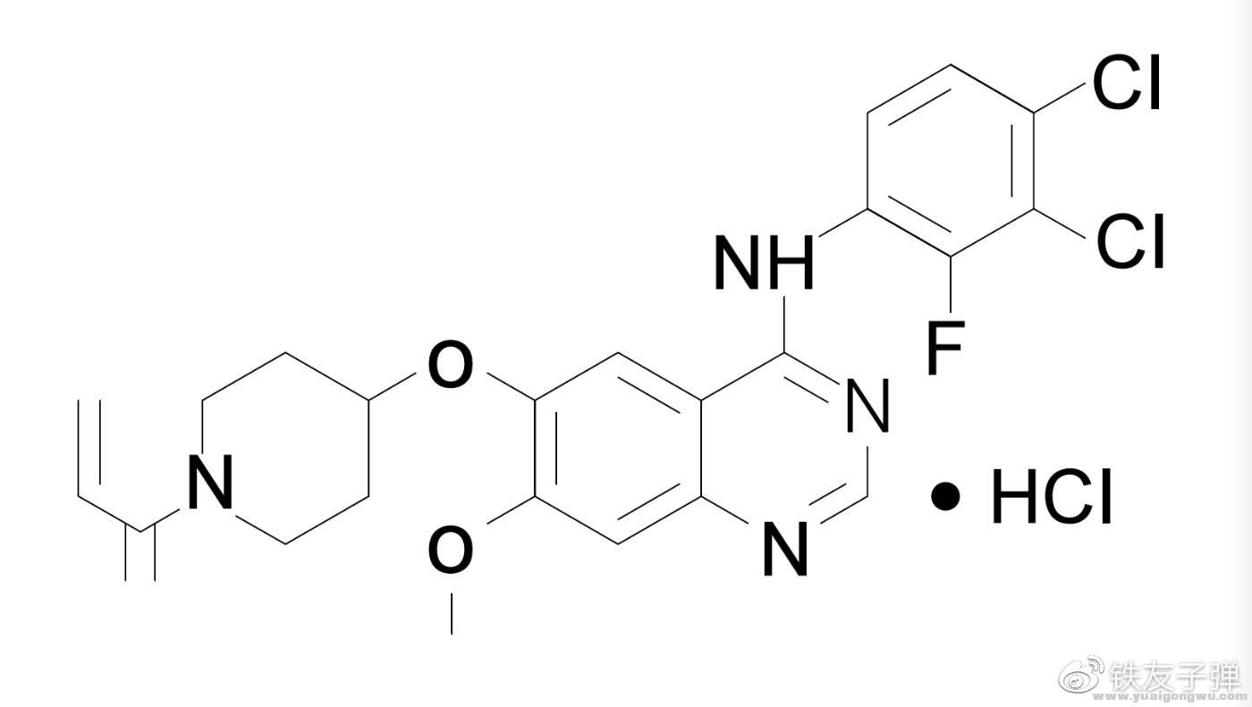 005KfmGfgy1gca5k5riiqj312w0lzdhu.jpg