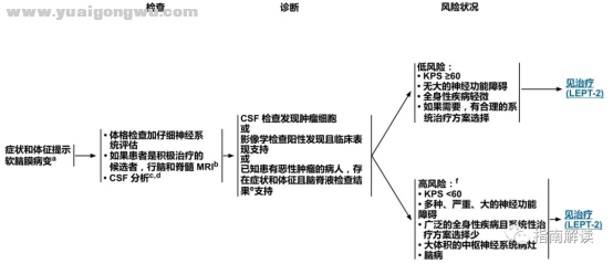 中枢神经系统肿瘤7045.png